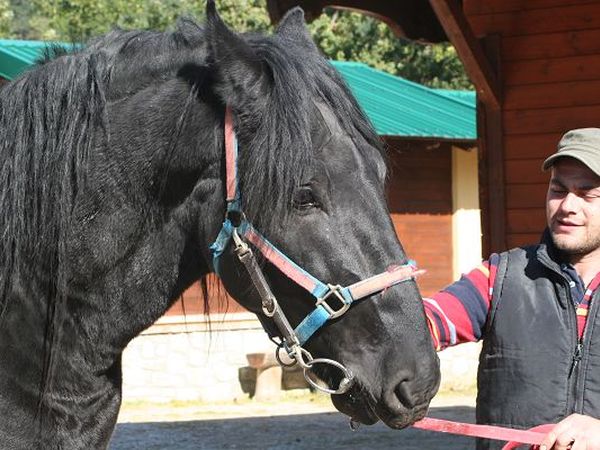 La Taverna dei Briganti - foto 13174.jpg