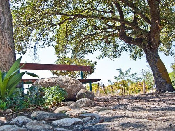 Agriturismo Il Cascinale - foto 13191.jpg