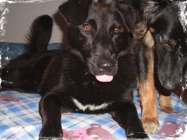  Albergo B&B Astor Garn - foto 13264.jpg