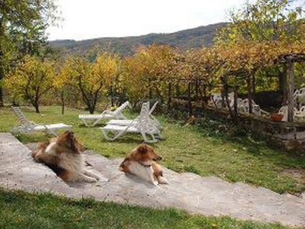 Agriturismo il Cornacchino - foto 13294.jpg