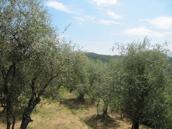 Terre del Mistero - foto 13598.jpg