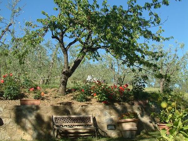 A casa di Olivo  - foto 13635.jpg