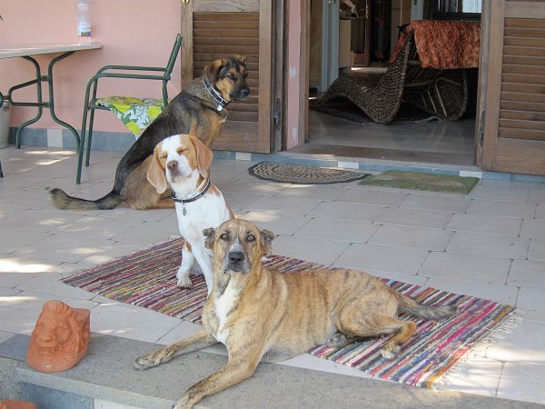 Tre Querce - foto 13666.jpg