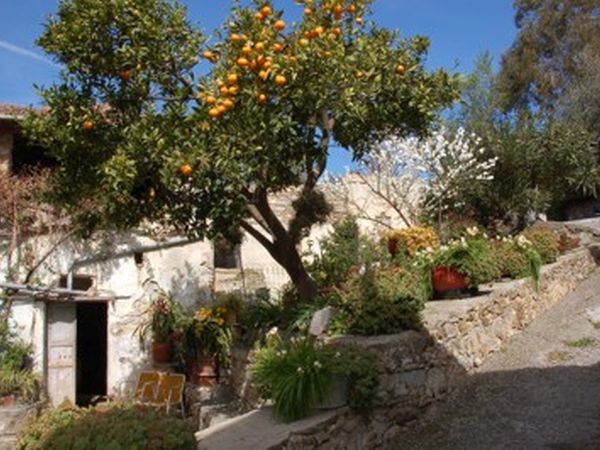 Agriturismo C di Ughi - foto 13827.jpg