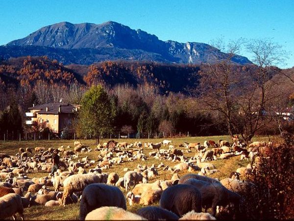 Hotel Sport - foto 13854.jpg