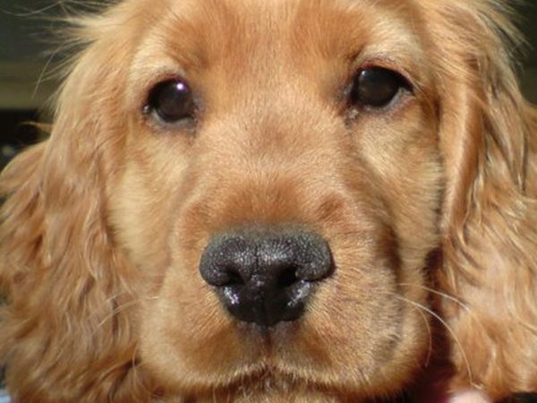 Hotel Sport - foto 13857.jpg