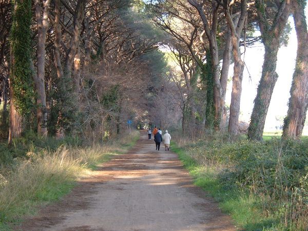 Podere Conte Gherardo - foto 3037.jpg