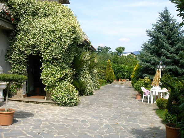 B&B Forum Cassii - foto 3018.jpg