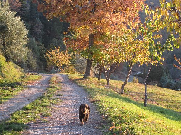 La Noce di Francesca - foto 13993.jpg