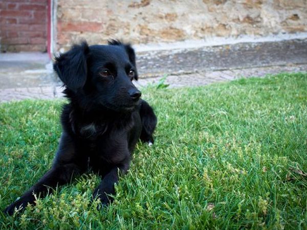 La Mandorla - foto 14002.jpg