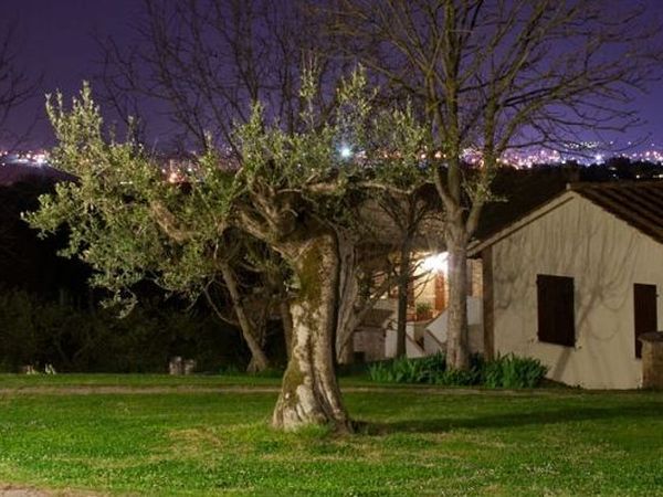 La Mandorla - foto 14004.jpg