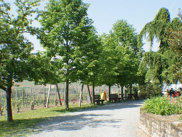 Azienda Agrituristica Costa dei Tigli - foto 14053.jpg