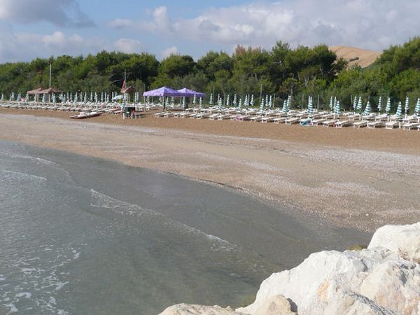 Pineto Beach Village & Camping - foto 14280.jpg