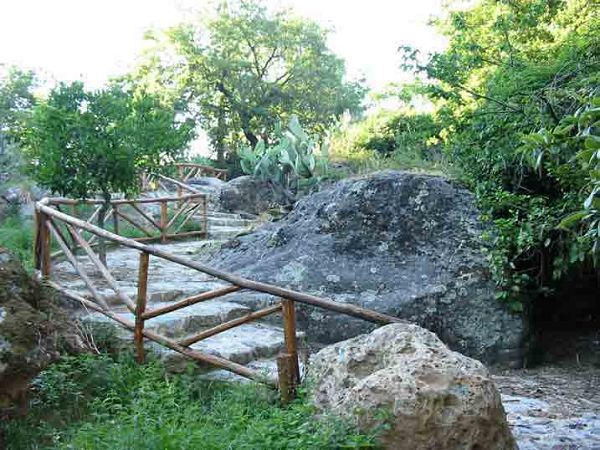 Agriturismo Il Ruscello - foto 3162.jpg