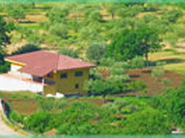 B&B Relax2 - foto 3165.jpg