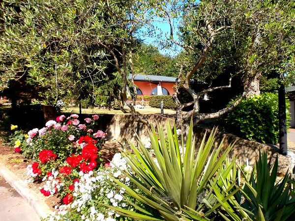 Il Poggetto - foto 14409.jpg