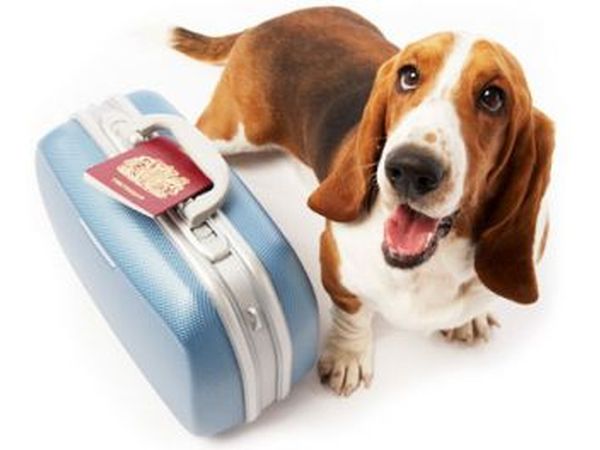 Hotel Terme di Santa Agnese - foto 14626.jpg