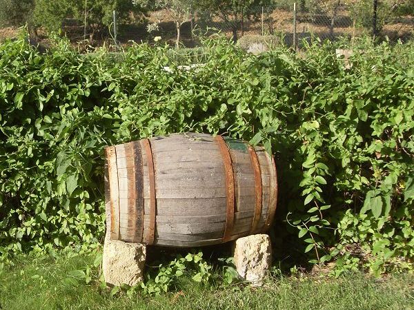 Case Vacanze Santa Lucia - foto 14696.jpg