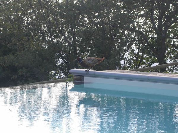 Casa Vacanze Rifugium - foto 3277.jpg