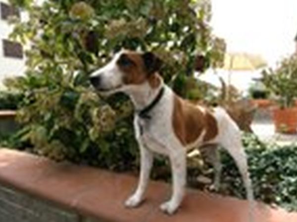 Hermitage Hotel - foto 3437.jpg