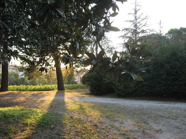 Il Frantoio - foto 15250.jpg