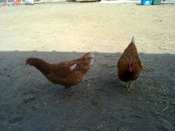 Residence Villa Alda - foto 15266.jpg