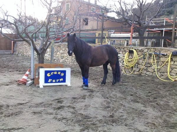 Residence Villa Alda - foto 15269.jpg