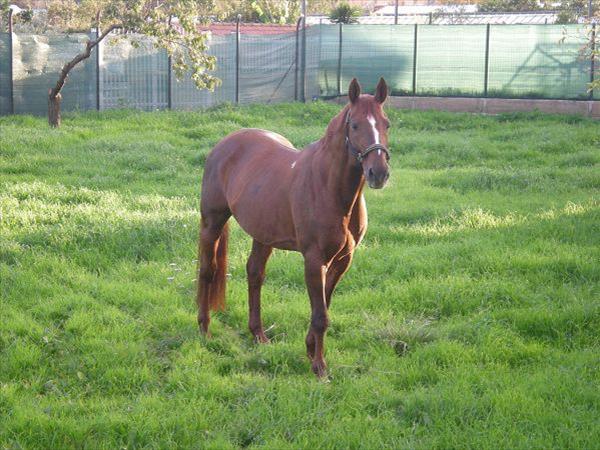 Residence Villa Alda - foto 15270.jpg