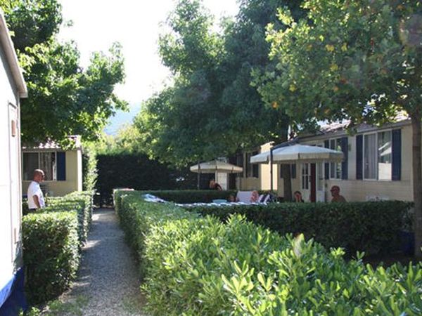 River Village Camping - foto 15732.jpg