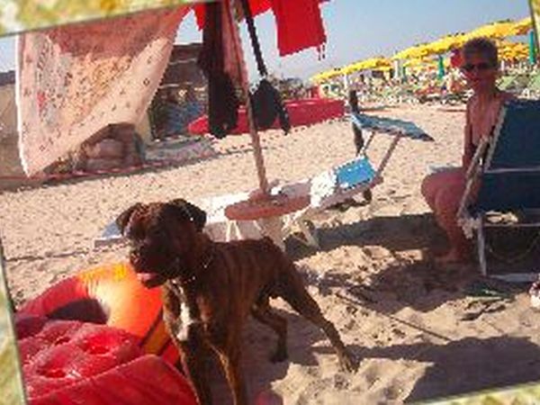 Pirata Beach - foto 15783.jpg