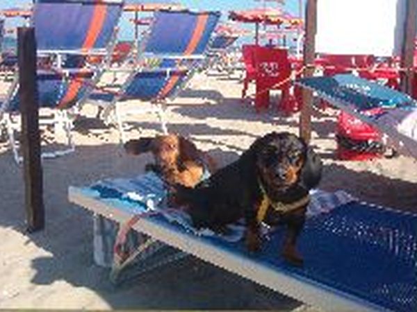 Pirata Beach - foto 15784.jpg