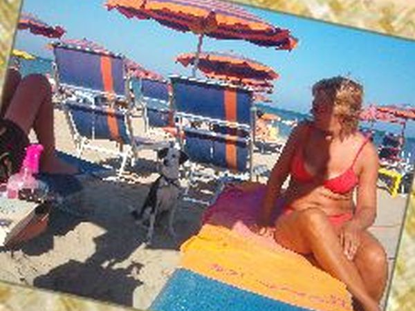 Pirata Beach - foto 15786.jpg