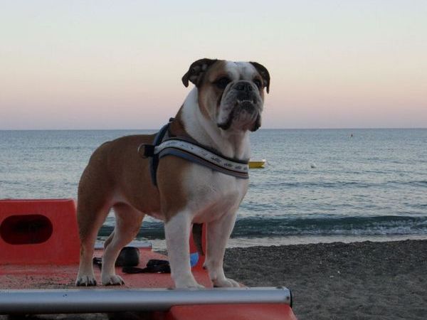 Spiaggia Pascia Glam Beach  - foto 9438.jpg