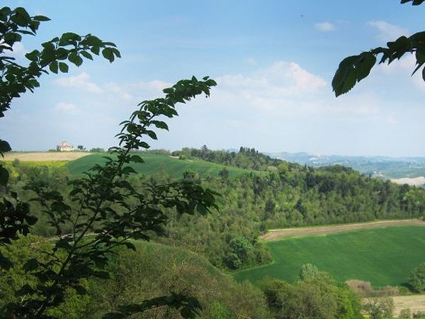 Il Granaio - foto 15899.jpg