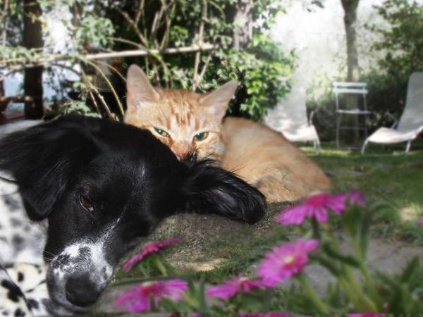 Il Granaio - foto 15900.jpg