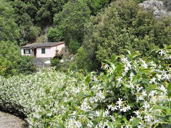 C du Ferr Farm & Relax - foto 15951.jpg