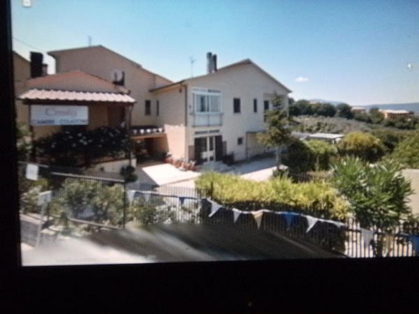 Emily - foto 15985.jpg