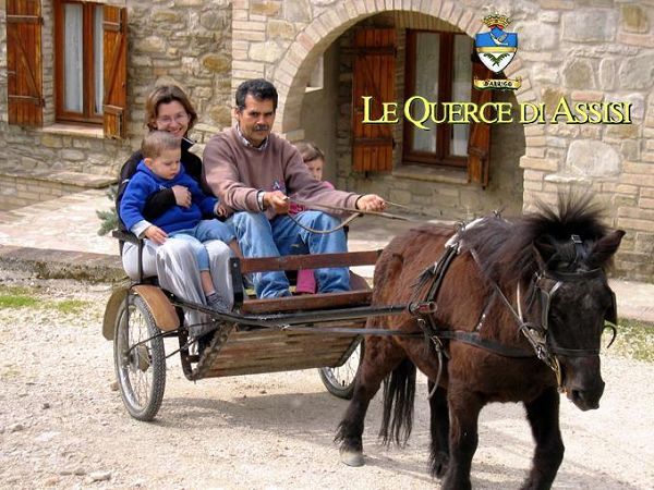 Le Querce di Assisi - foto 3668.jpg