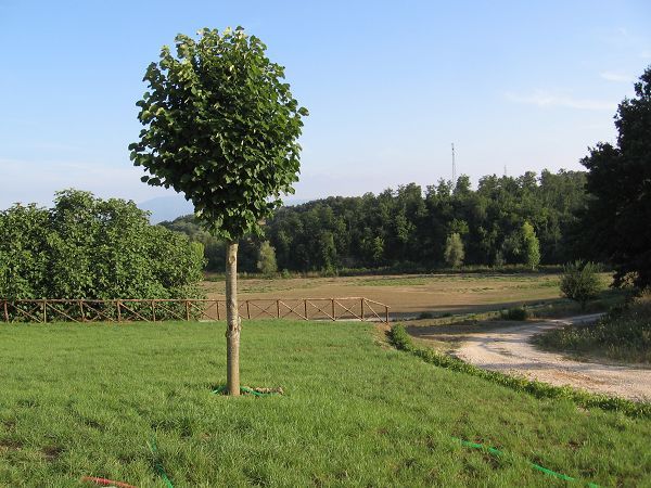 La Casaccia di Fiogene - foto 16146.jpg