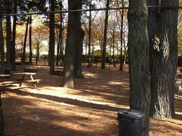 Agriturismo Iacchelli - foto 16236.jpg