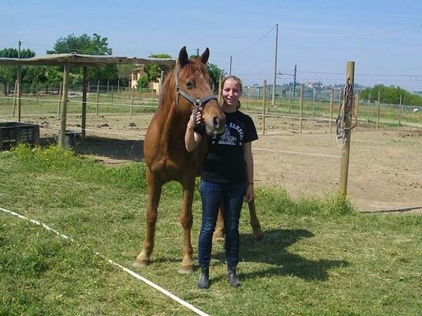 Casa Losea - foto 16442.jpg