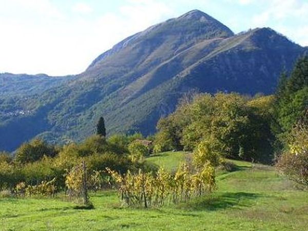 Agriturismo Fanny - foto 16611.jpg