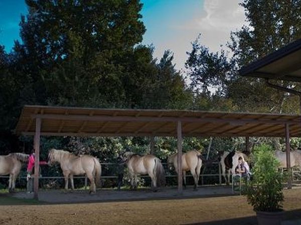 Castellare di Tonda Resort & Spa - foto 16664.jpg