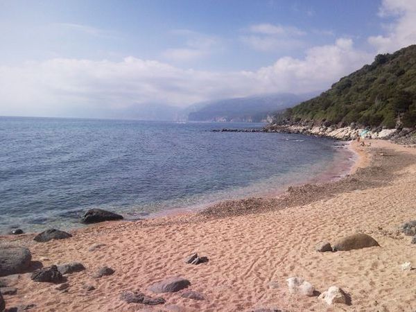 Doggie Dog Beach  - foto 16713.jpg