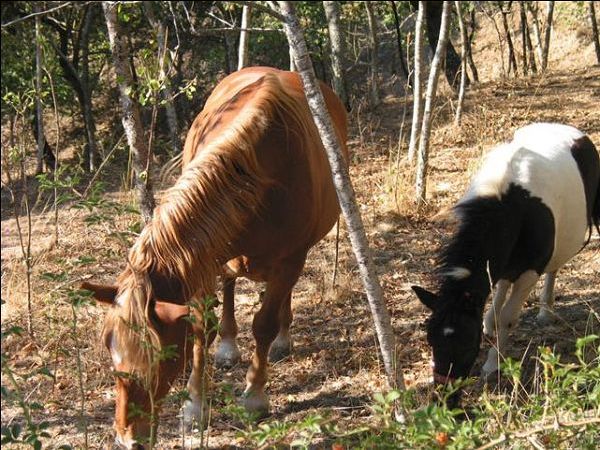 Agriturismo Spinabbio  - foto 16727.jpg