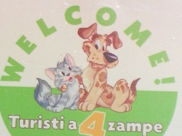 Lake Project - foto 16841.jpg