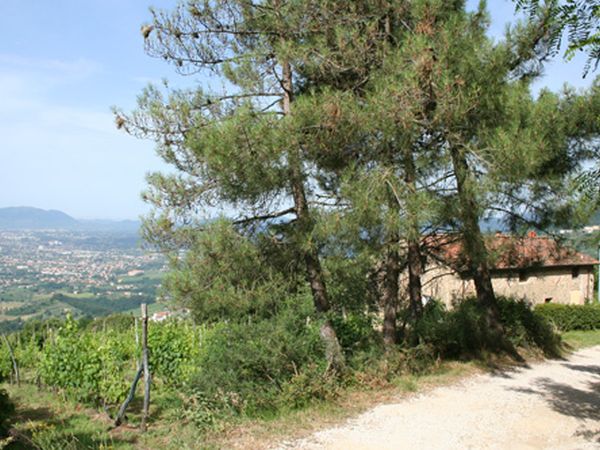 Azienda Agricola Valgiano - foto 4035.jpg