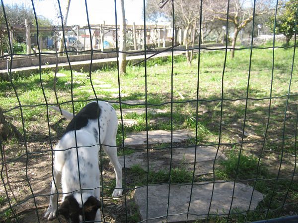 Casa Vacanze Pozzo Cassero - foto 4014.jpg