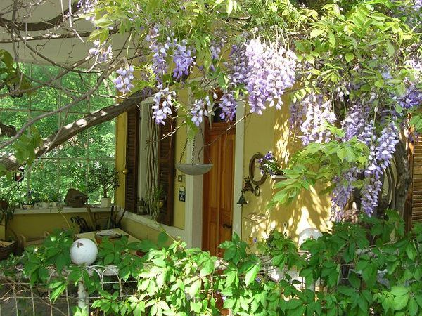 La Residenza dello Scoiattolo Bed & Breakfast - foto 4026.jpg