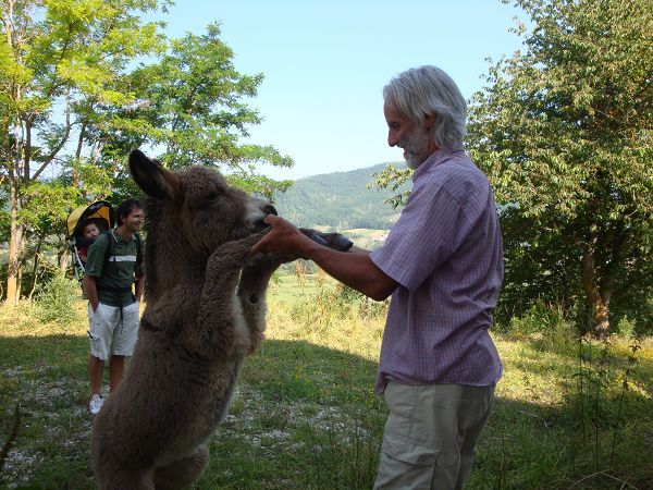 La Canestra - foto 17018.jpg